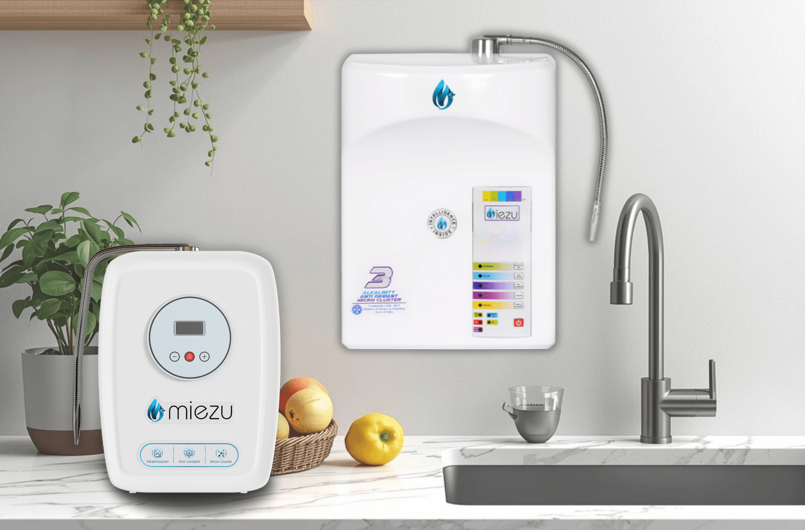Alkaline Water